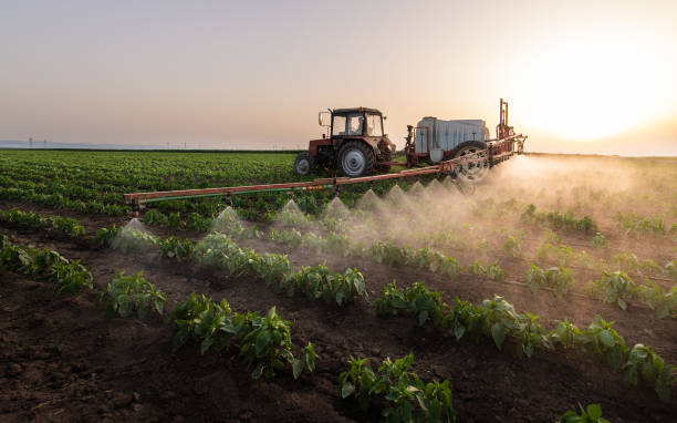 Pest Prevention Services in Southwest Greensburg, PA